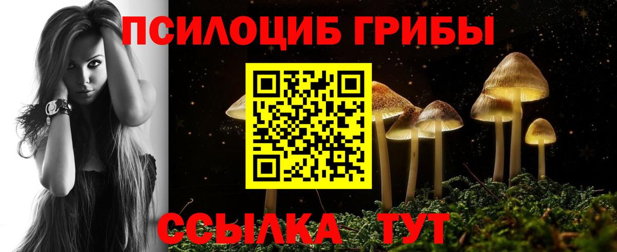 Псилоцибиновые грибы GOLDEN TEACHER  Вход с VPN  Москва 